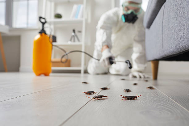 Commercial Kitchen Cockroach Control in Naval Academy
